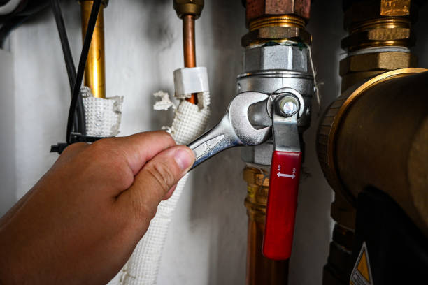 Best Clogged Drain Plumber  in Hokendauqua, PA